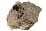 Azurite Crystal on Druzy Quartz - Morocco #137031-1